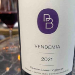 Domaine de Brin - Damien Bonnet - Vendemia