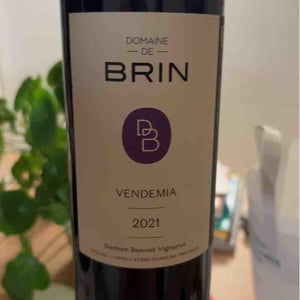 Vendemia - Domaine de Brin - Damien Bonnet 