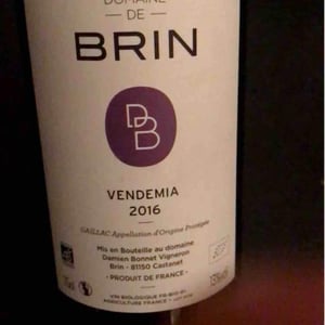 Domaine de Brin - Damien Bonnet - Vendemia
