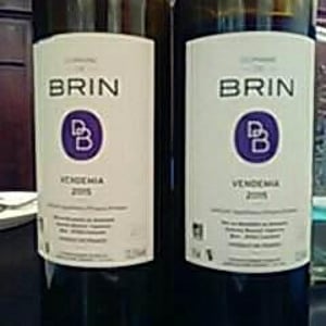 Domaine de Brin - Damien Bonnet - Vendemia