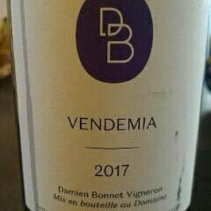 Domaine de Brin - Damien Bonnet - Vendemia