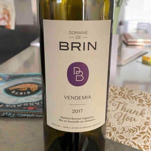 Vendemia - Domaine de Brin - damien-bonnet