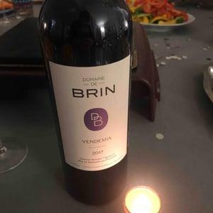 Vendemia - Domaine de Brin - damien-bonnet