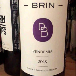 Domaine de Brin - Damien Bonnet - Vendemia