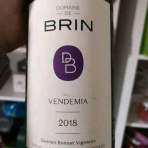 Domaine de Brin - Damien Bonnet - Vendemia