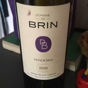 Domaine de Brin - Damien Bonnet - Vendemia