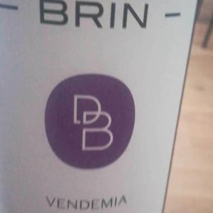 Domaine de Brin - Damien Bonnet - Vendemia