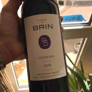 Vendemia - Domaine de Brin - damien-bonnet