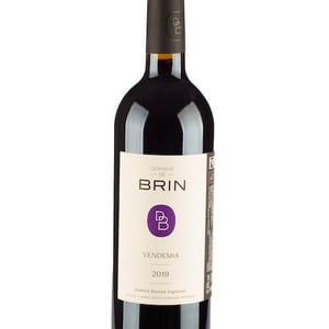 Vendemia - Domaine de Brin - damien-bonnet