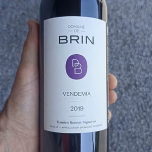 Vendemia - Domaine de Brin - damien-bonnet