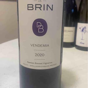 Domaine de Brin - Damien Bonnet - Vendemia