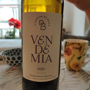 Vendemia 2021 - Domaine de Brin - Damien Bonnet