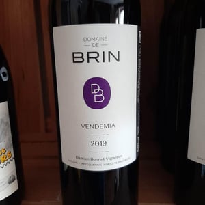 Vendemia - Domaine de Brin - damien-bonnet
