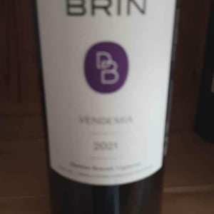 Vendemia - Domaine de Brin - damien-bonnet