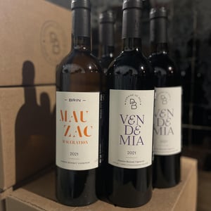 Vendemia - Domaine de Brin - damien-bonnet