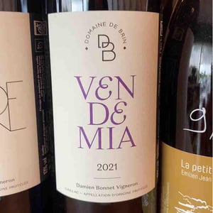 Vendemia - Domaine de Brin - Damien Bonnet 