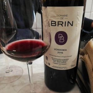 Vendemia - Domaine de Brin - damien-bonnet