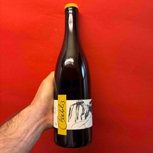 Vent d'Anges - Domaine Pattes Loup - Thomas Pico 