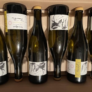 Vent d'Anges - Domaine Pattes Loup - thomas-pico