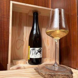 Domaine Pattes Loup - Thomas Pico - Vent d'Anges