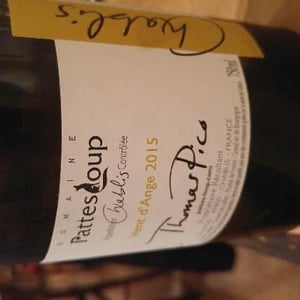 Vent d'Anges - Domaine Pattes Loup - Thomas Pico 