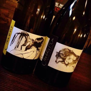 Vent d'Anges - Domaine Pattes Loup - Thomas Pico 