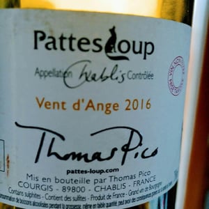 Vent d'Anges - Domaine Pattes Loup - thomas-pico