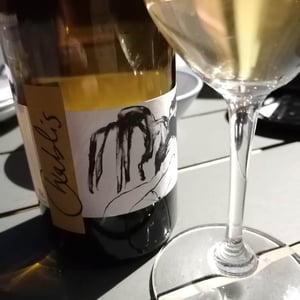 Vent d'Anges - Domaine Pattes Loup - thomas-pico