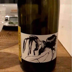 Domaine Pattes Loup - Thomas Pico - Vent d'Anges