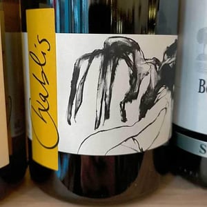 Vent d'Anges - Domaine Pattes Loup - Thomas Pico 