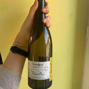 Vent d'Anges - Domaine Pattes Loup - Thomas Pico 