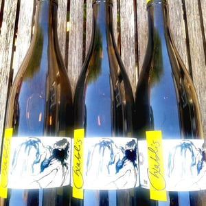 Vent d'Anges - Domaine Pattes Loup - thomas-pico
