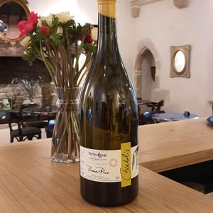 Vent d'Anges - Domaine Pattes Loup - thomas-pico
