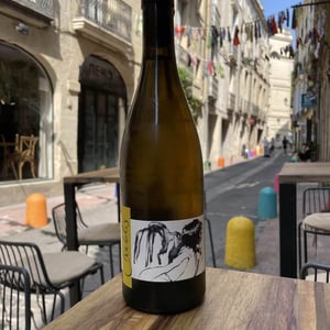 Vent d'Anges - Domaine Pattes Loup - thomas-pico