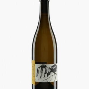Vent d'Anges - Domaine Pattes Loup - thomas-pico
