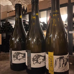 Vent d'Anges - Domaine Pattes Loup - thomas-pico