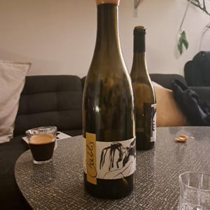 Domaine Pattes Loup - Thomas Pico - Vent d'Anges