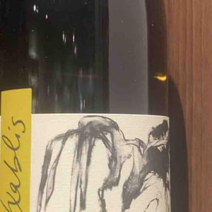 Vent d'Anges - Domaine Pattes Loup - thomas-pico