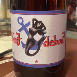 Vent Debout - Domaine Yoyo - laurence-manya-krief