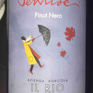 Ventisei - Il Rio - Paolo Cerrini 