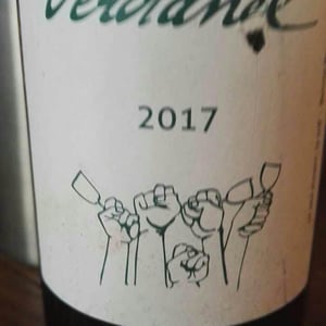 Verdanel - Domaine Plageoles - Bernard, Florent & Romain Plageoles 