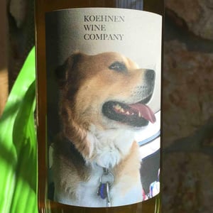 Verdelho - Santa Rosa, CA - koehnen-wine-co