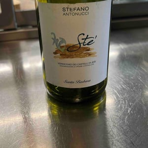 Verdicchio Dei Castelli Di Jesi - La Staffa - riccardo-baldi