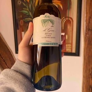 Verdicchio di Gino - di Crognaletti Natalino - fattoria-san-lorenzo -2018