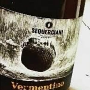 Vermentino - Podere Sequerciani di Ruedi Gerber - ruedi-gerber