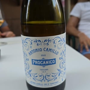 Vermentino - Vini Di Territorio - antonio-camillo -2019