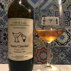 Vermentino Colli di Luni - Santa Caterina - andrea-kihlgren