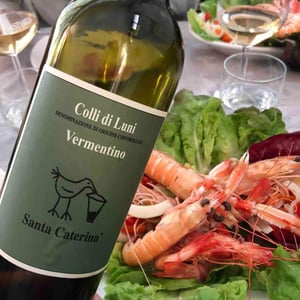 Vermentino Colli di Luni - Santa Caterina - andrea-kihlgren