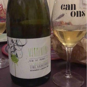Vermentino - La Graine Sauvage - Sybil Baldassarre 