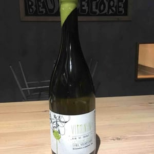 Vermentino - La Graine Sauvage - Sybil Baldassarre 